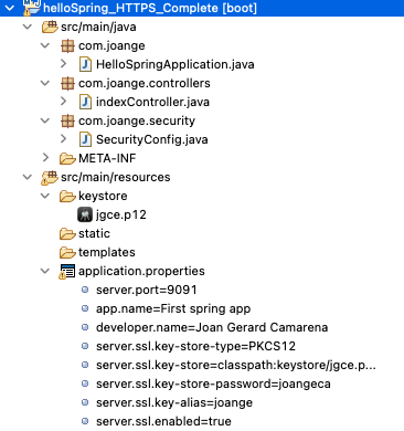 HTTPS_Spring_Project